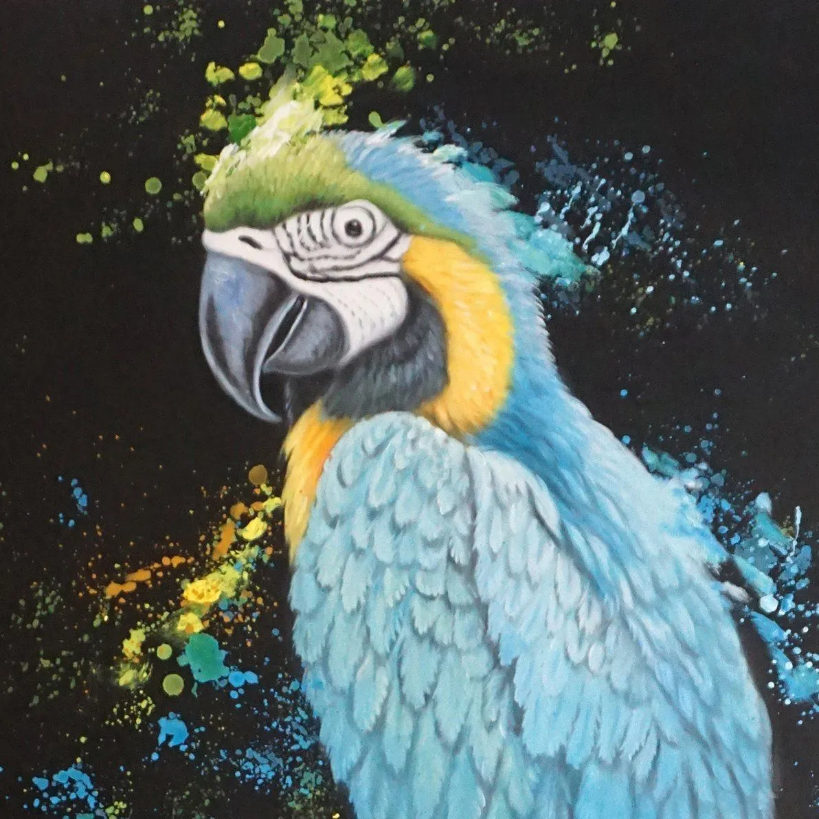 Canvas Print Blue & Gold Macaw 24x36Inch (60x90cm)