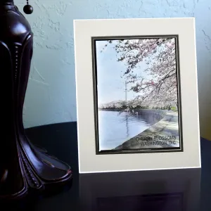 Cherry Blossoms at the Tidal Basin with Washington Monument  Matted Print