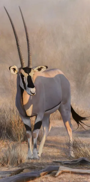 Gemsbok Gem II