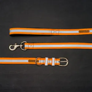 Reflective Orange Nylon Belt Collar and Leash with Padded Handle